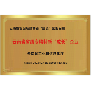 云南省专精特新成长型企业荣誉